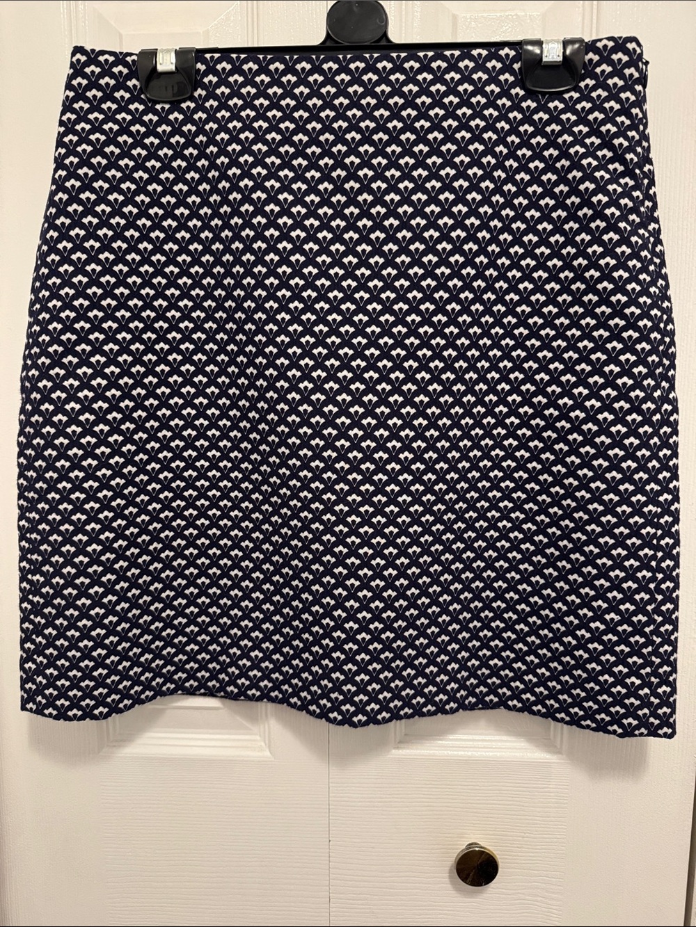 Ann Taylor skirt